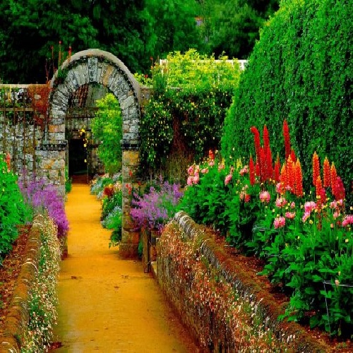 چیناره ملک زاده گل اولنه کیمی سویم سنی